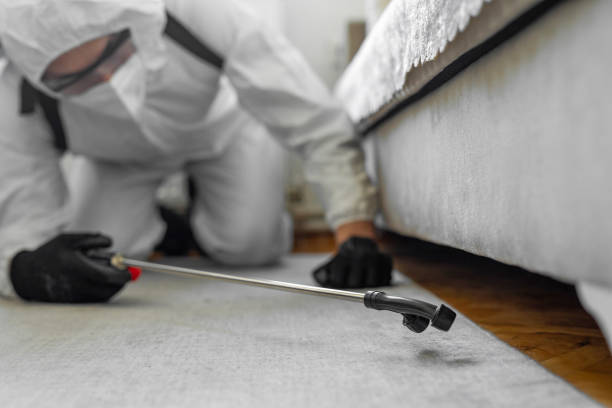 Professional Termite Control technician working in Olivia, MN