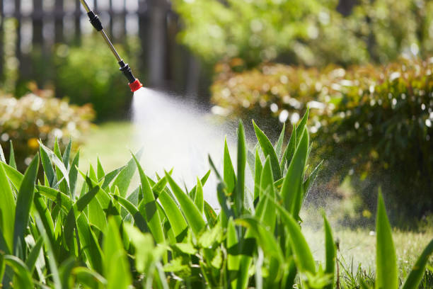 24/7 Emergency Termite Control experts in Olivia, MN