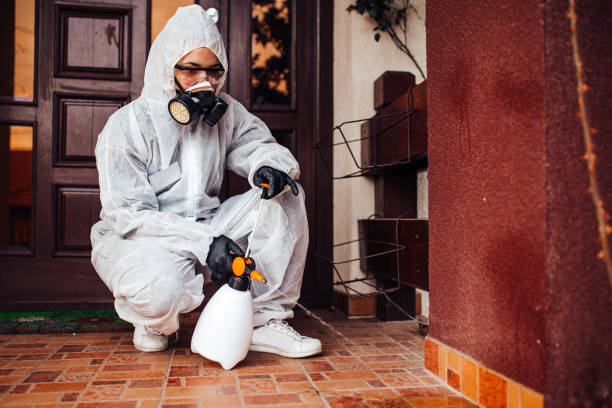 Reliable Termite Control contractor in Olivia, MN by Nex Pest Control